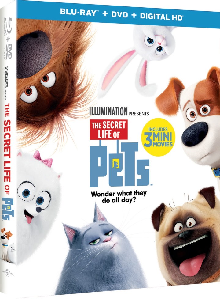 THE SECRET LIFE OF PETS incluye 3 mini películas, En Digital HD el 22 de noviembre, 4K Ultra HD, BLU-RAY 3D, BLU-RAY, DVD, Bajo Demanda el 6 de&nbsp;diciembre